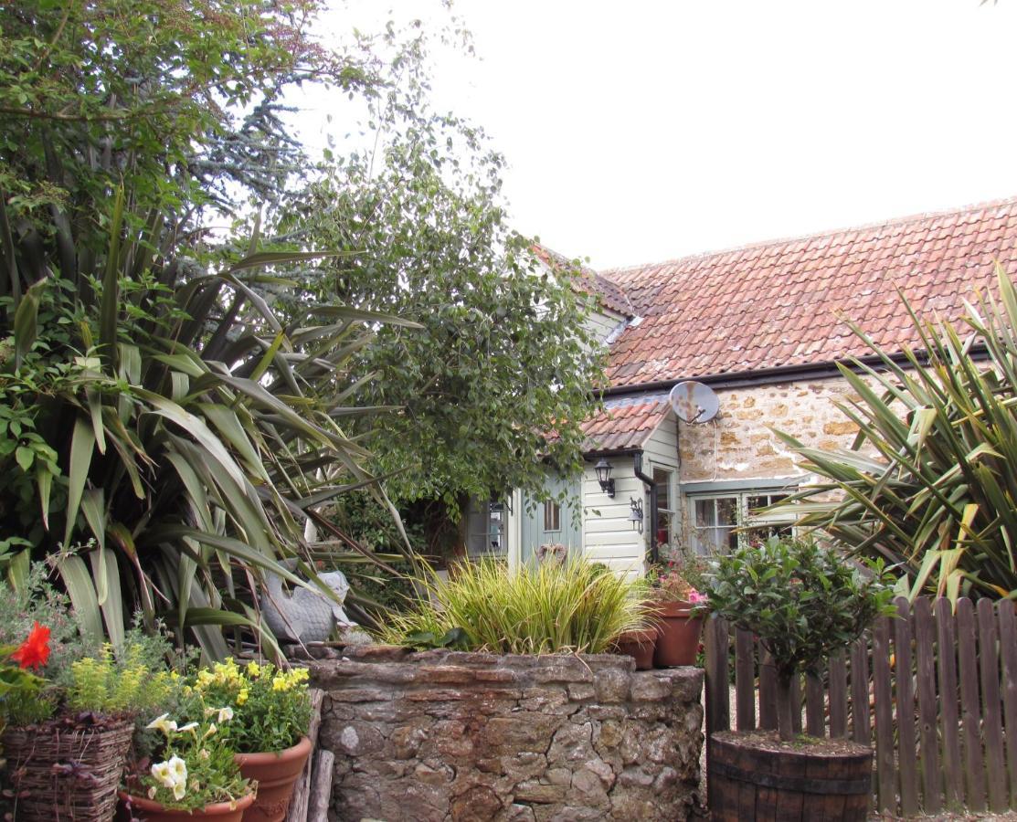 Chiddy Nook Cottage Chideock ภายนอก รูปภาพ