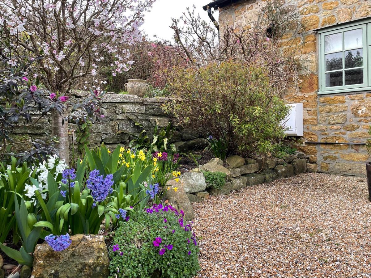 Chiddy Nook Cottage Chideock ภายนอก รูปภาพ